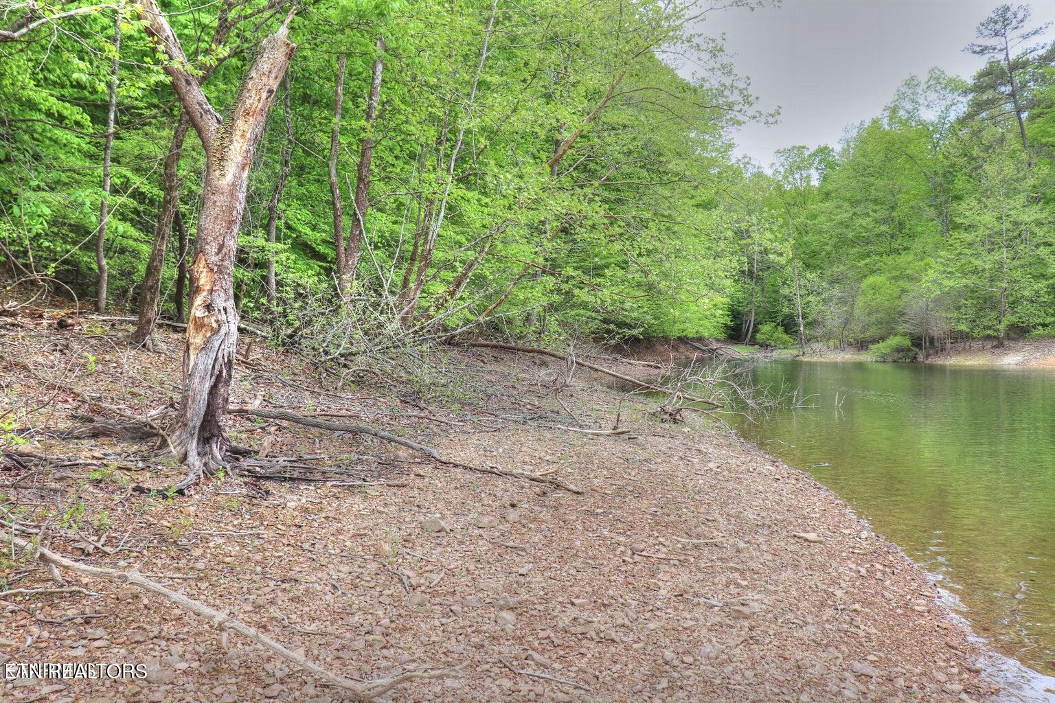 Lot 427 Mountain Shores Road New Tazewell, TN 37825 - Photo 3 of 9 20230429222620169284000000-o