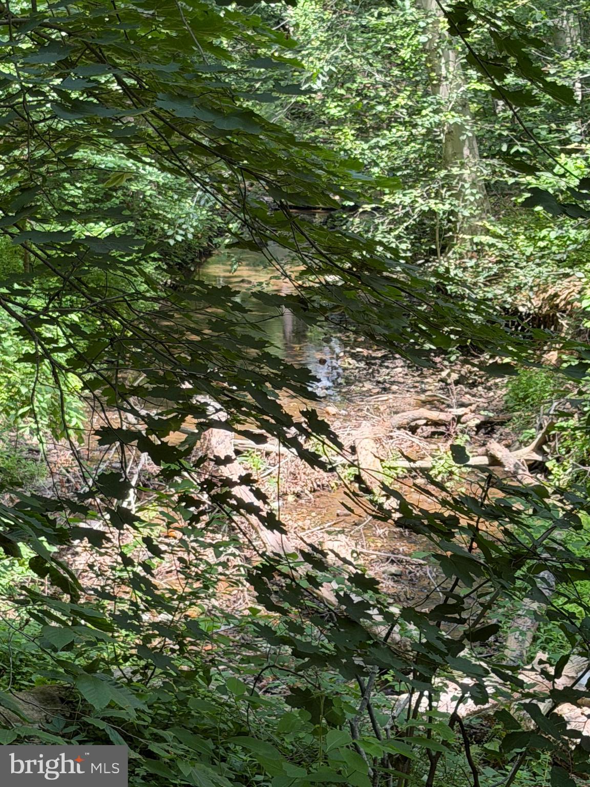Ragan Road Conowingo, MD 21918 - Photo 6 of 7 Creek in the back of the lot
