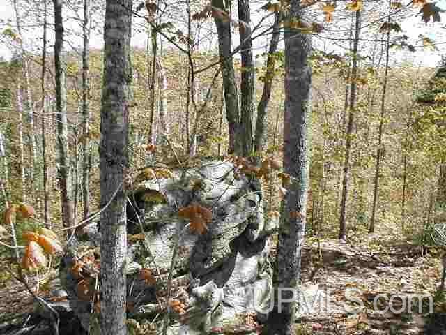Tbd Off Craig Lake Road Michigamme, MI 49861 - Photo 6 of 23