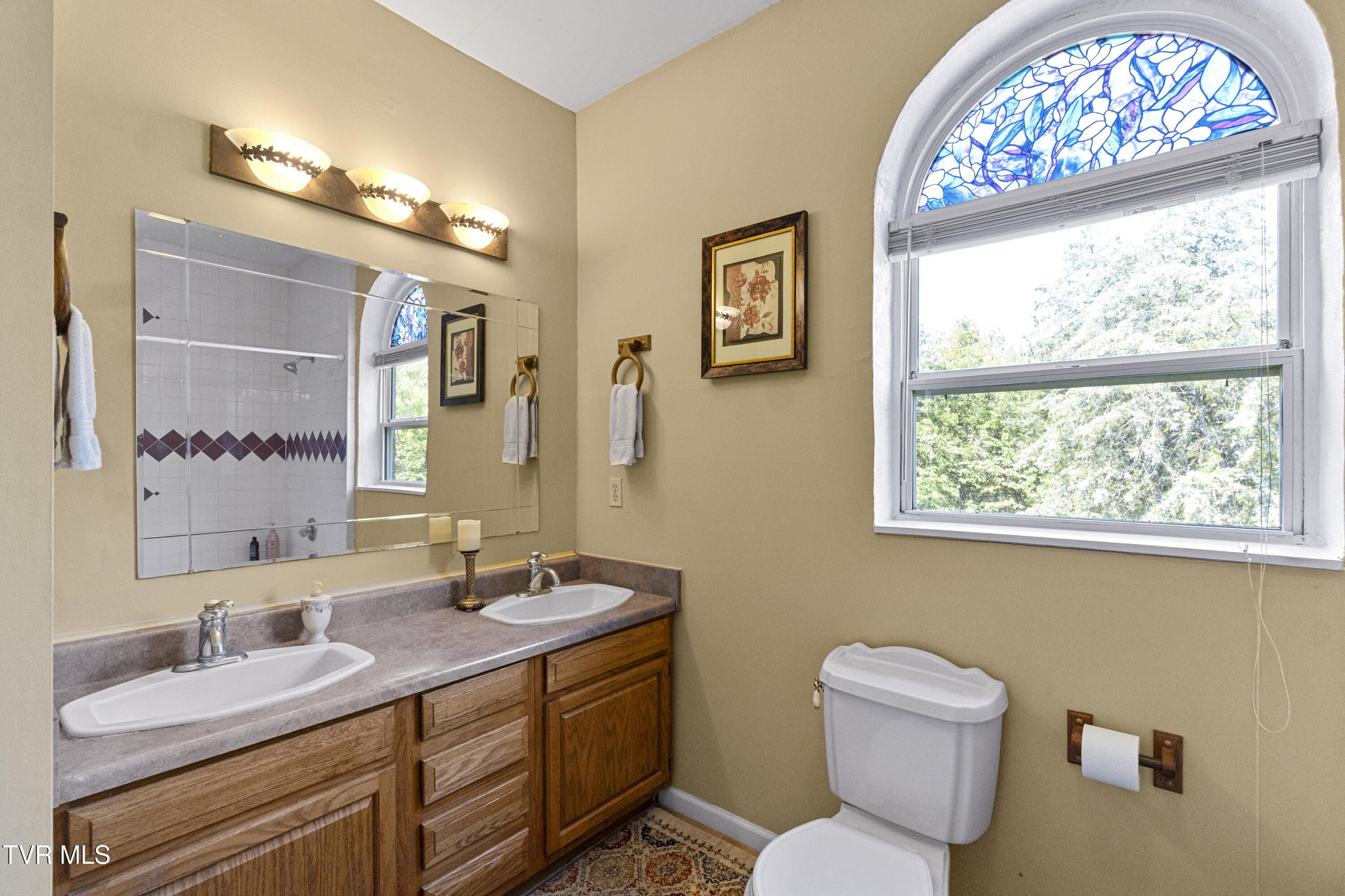 1005 Jackson Hollow Road Mosheim, TN 37818 - Photo 21 of 96 20