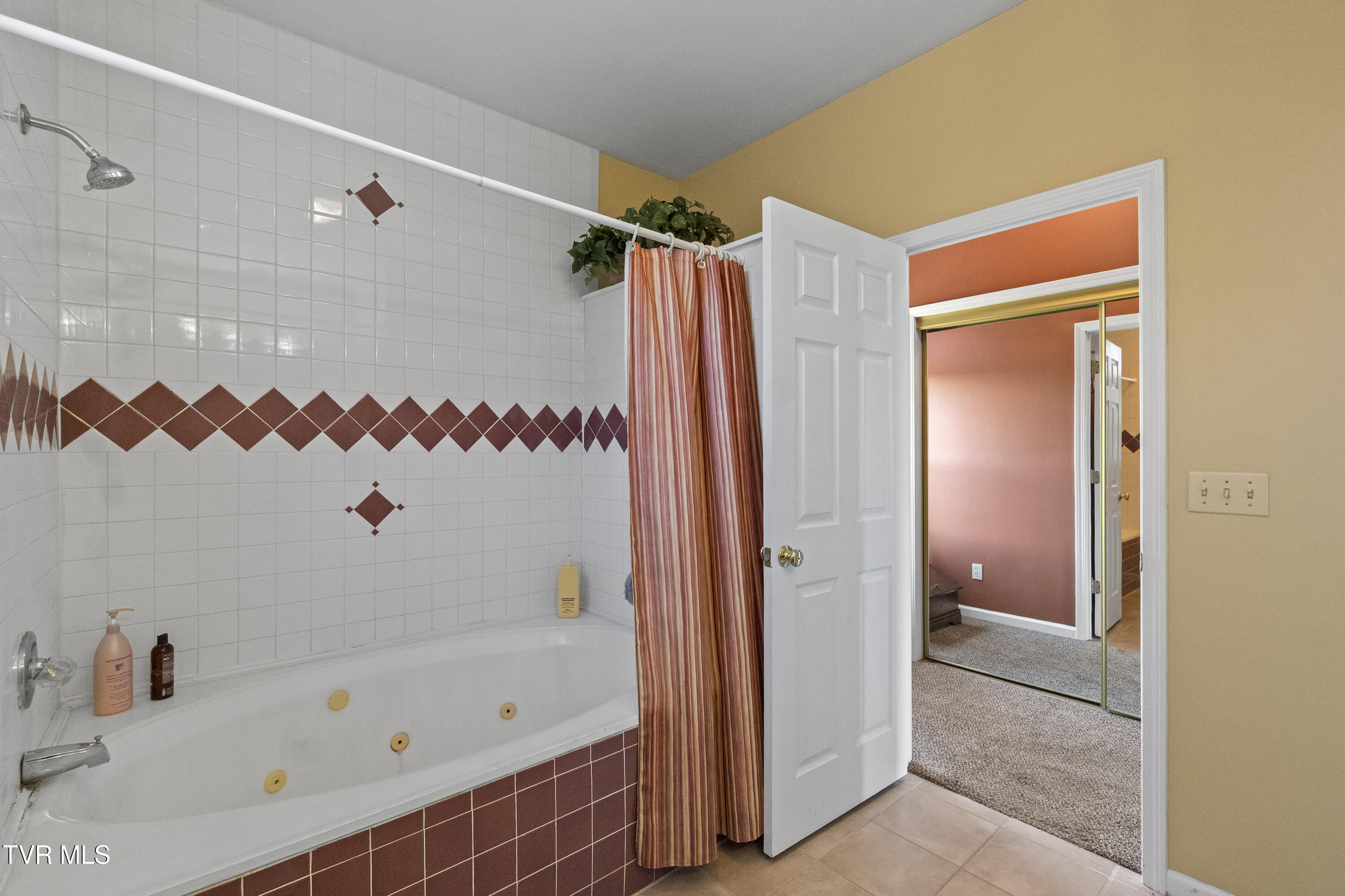 1005 Jackson Hollow Road Mosheim, TN 37818 - Photo 22 of 96 21