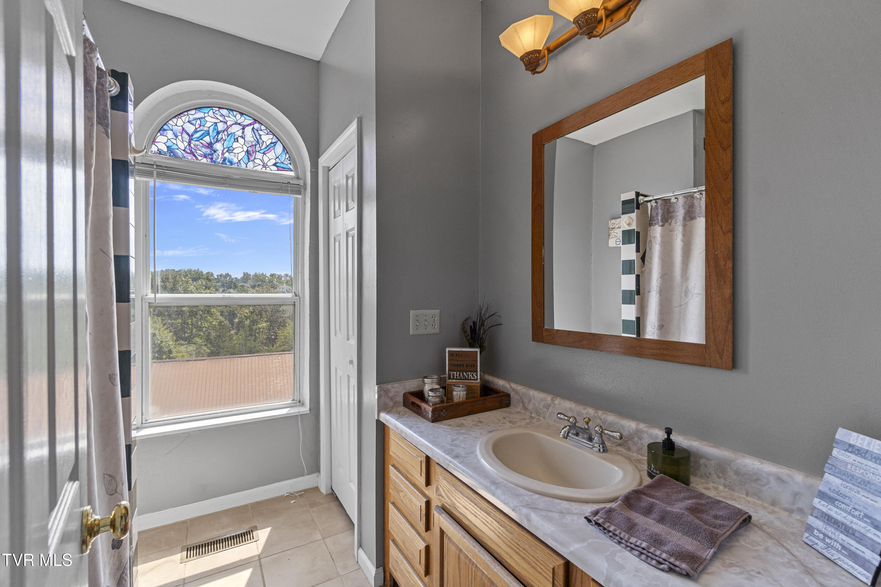 1005 Jackson Hollow Road Mosheim, TN 37818 - Photo 29 of 96 28