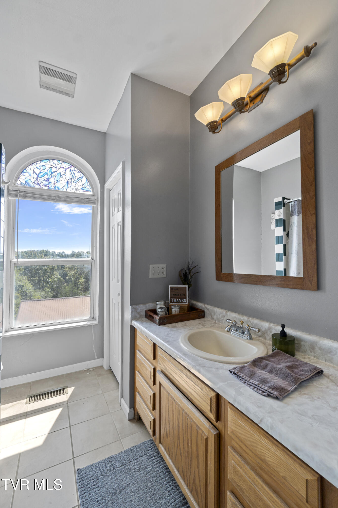 1005 Jackson Hollow Road Mosheim, TN 37818 - Photo 30 of 96 29