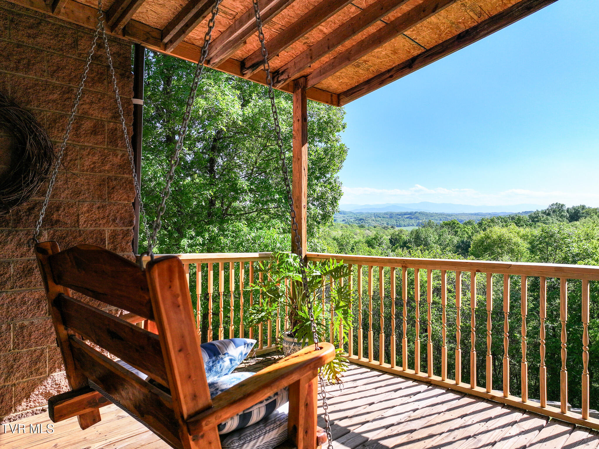 1005 Jackson Hollow Road Mosheim, TN 37818 - Photo 3 of 96 3