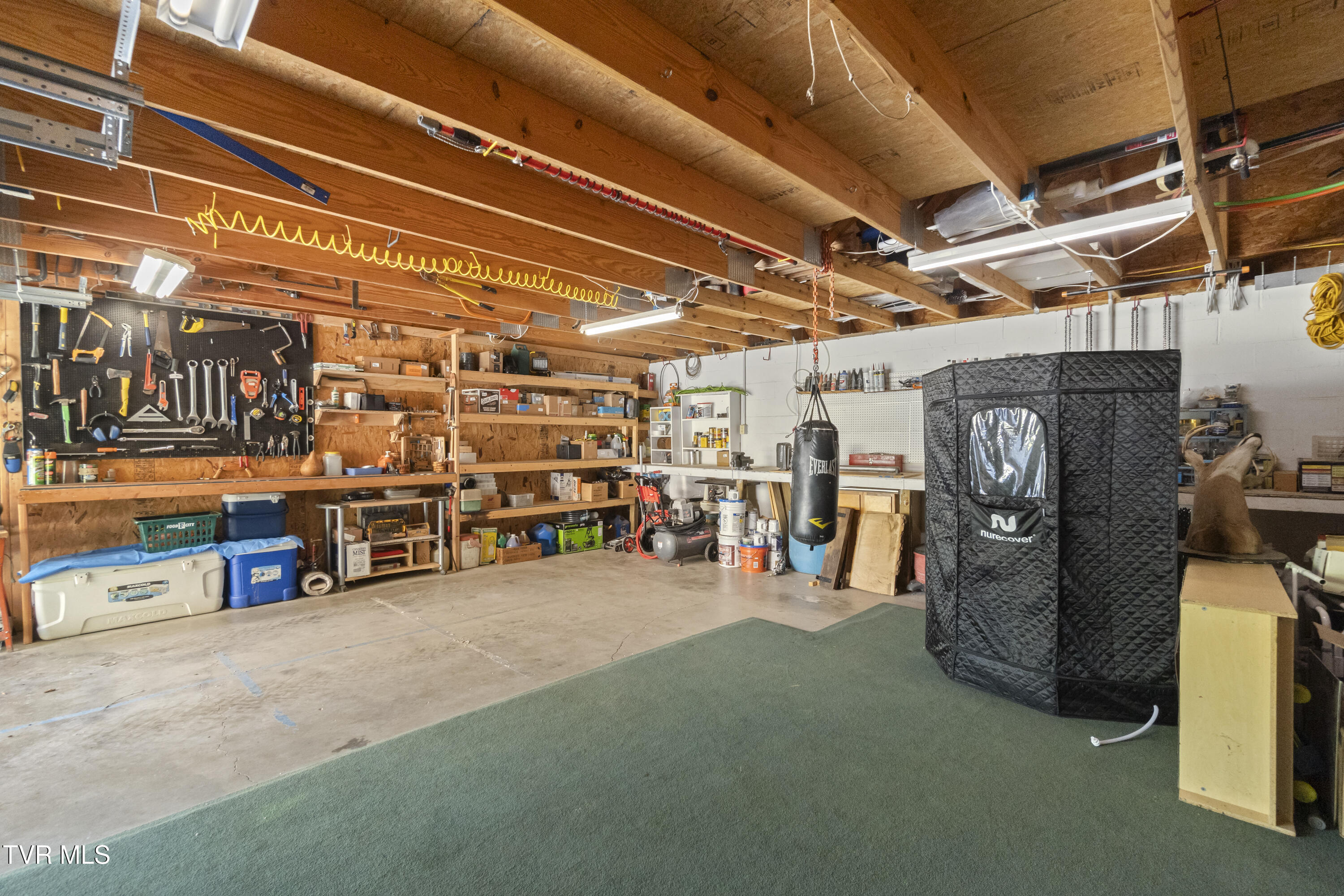 1005 Jackson Hollow Road Mosheim, TN 37818 - Photo 39 of 96 38