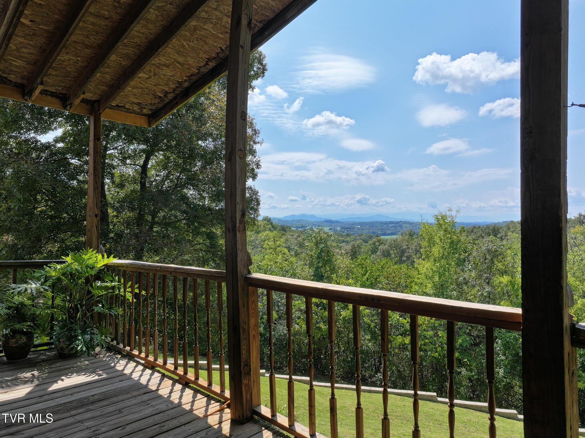 1005 Jackson Hollow Road Mosheim, TN 37818 - Photo 41 of 96 40 (2)