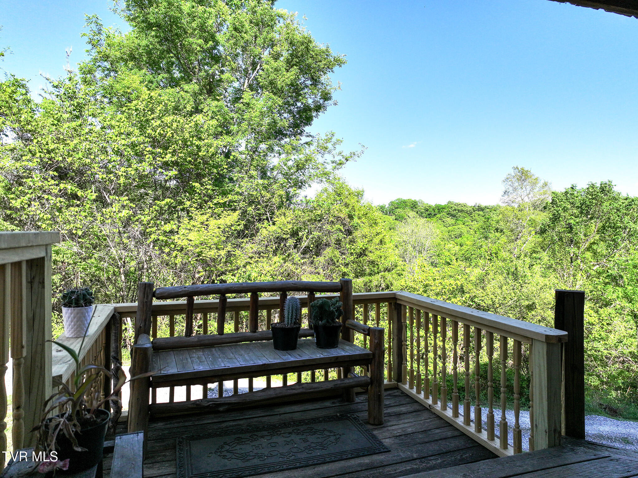 1005 Jackson Hollow Road Mosheim, TN 37818 - Photo 44 of 96 41 (3)