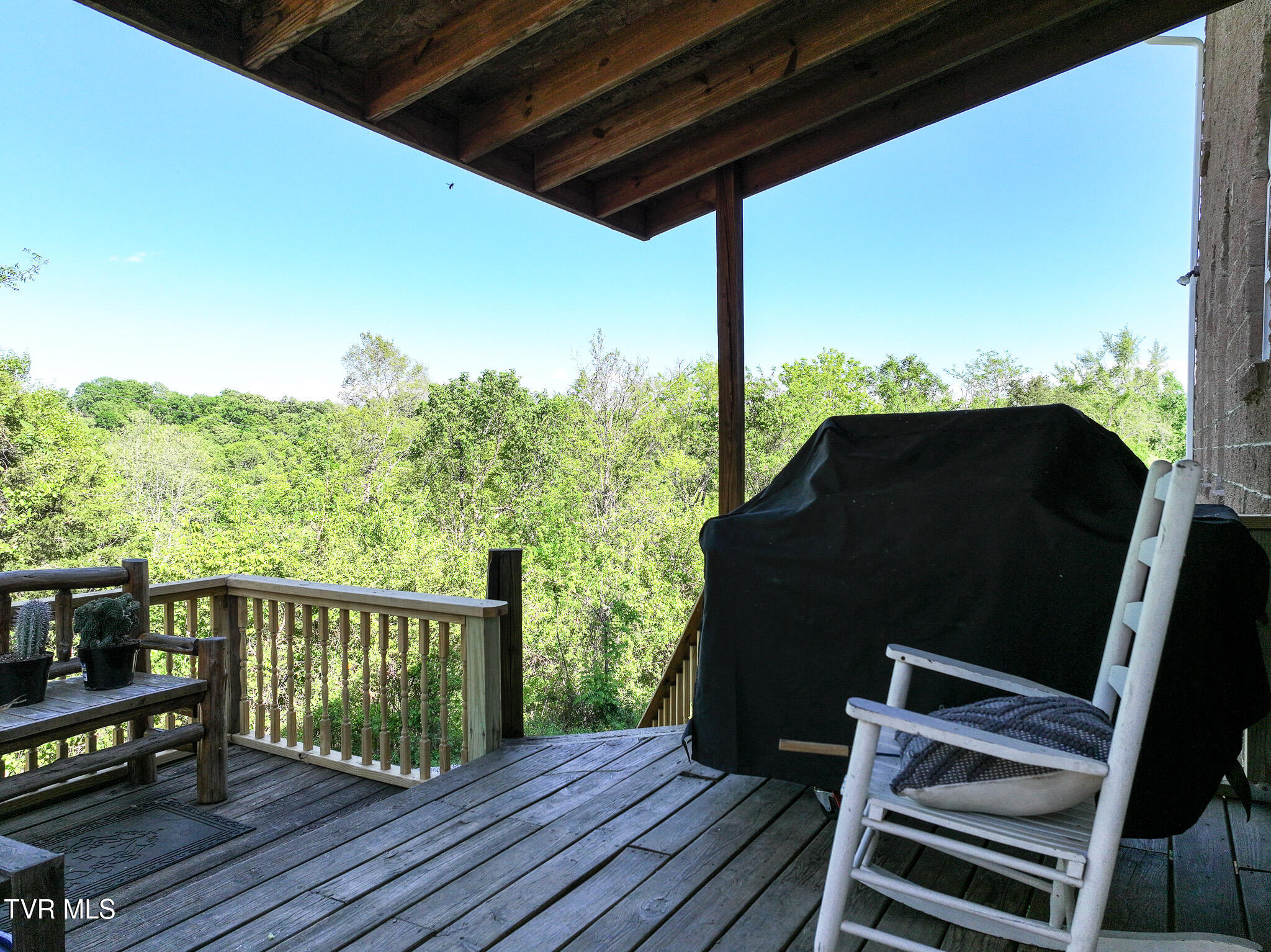 1005 Jackson Hollow Road Mosheim, TN 37818 - Photo 45 of 96 41 (4)