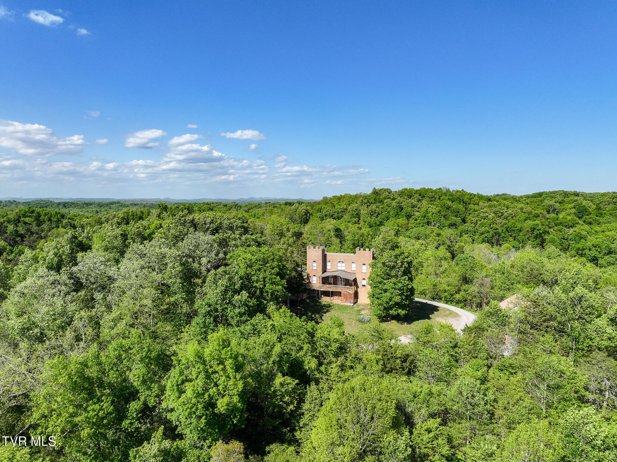 1005 Jackson Hollow Road Mosheim, TN 37818 - Photo 52 of 96 46 (2)
