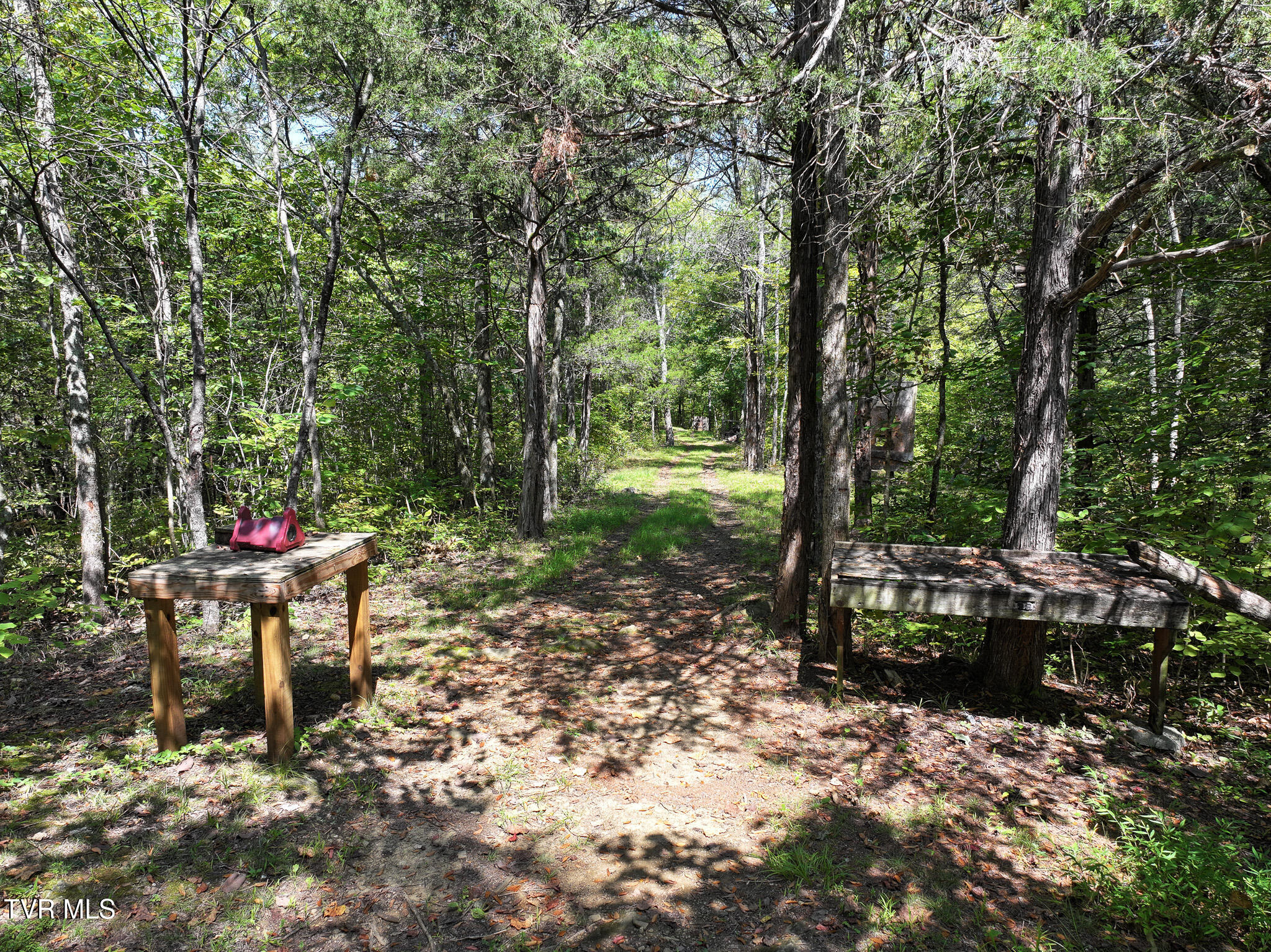 1005 Jackson Hollow Road Mosheim, TN 37818 - Photo 53 of 96 46