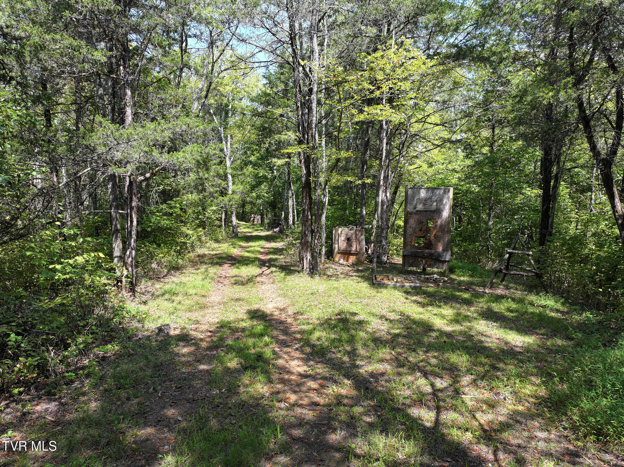 1005 Jackson Hollow Road Mosheim, TN 37818 - Photo 54 of 96 47