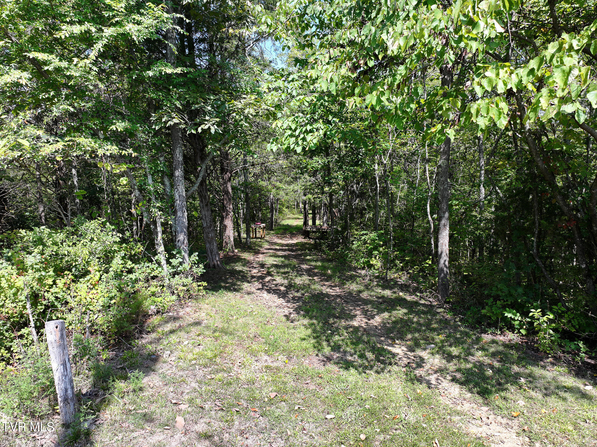 1005 Jackson Hollow Road Mosheim, TN 37818 - Photo 55 of 96 48