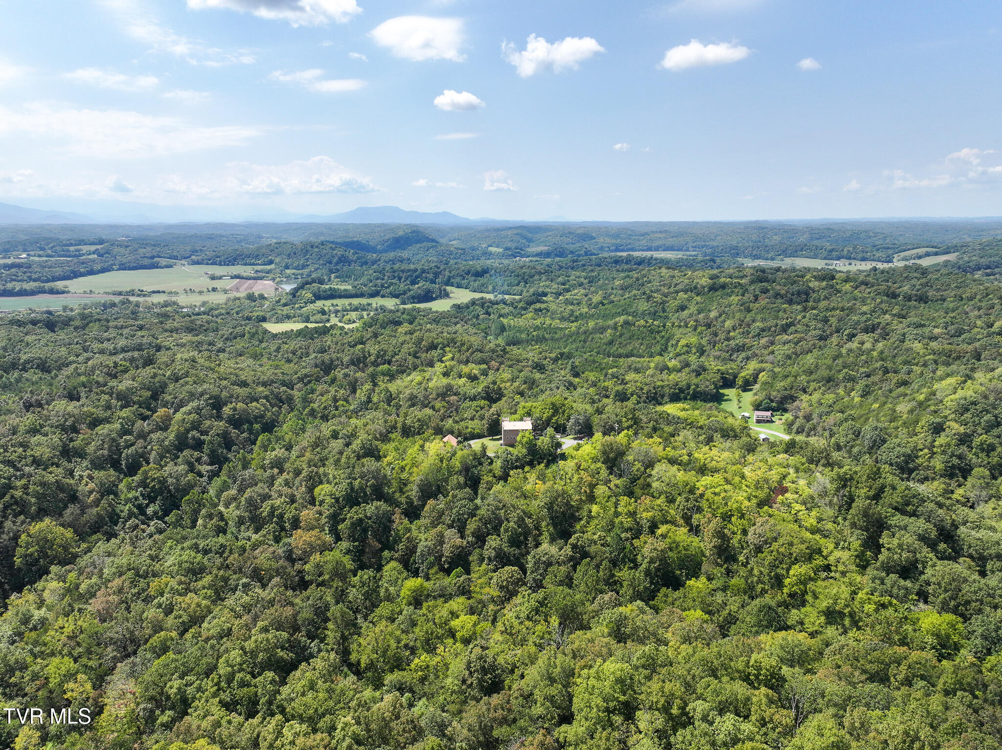 1005 Jackson Hollow Road Mosheim, TN 37818 - Photo 56 of 96 49