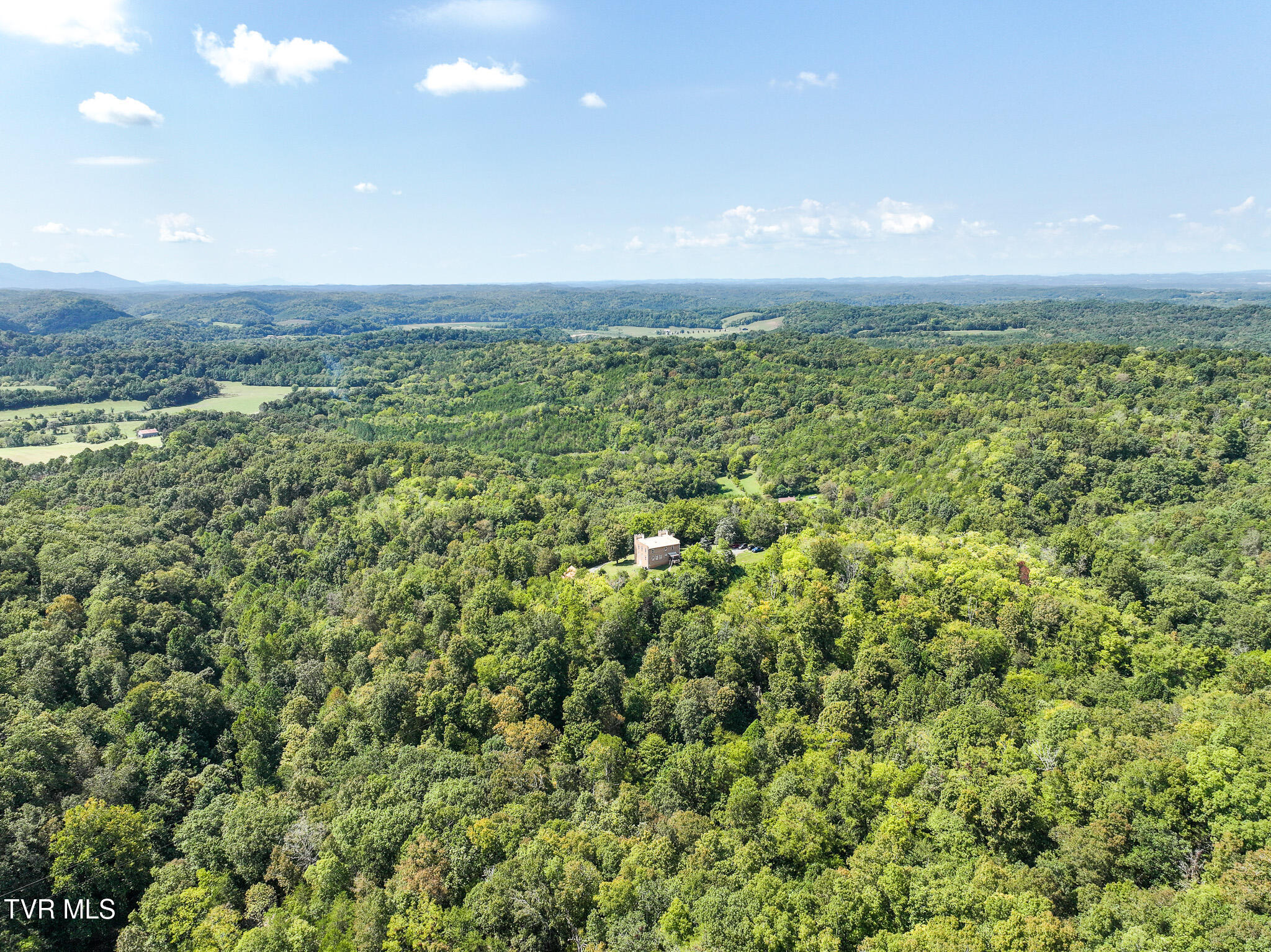 1005 Jackson Hollow Road Mosheim, TN 37818 - Photo 57 of 96 50