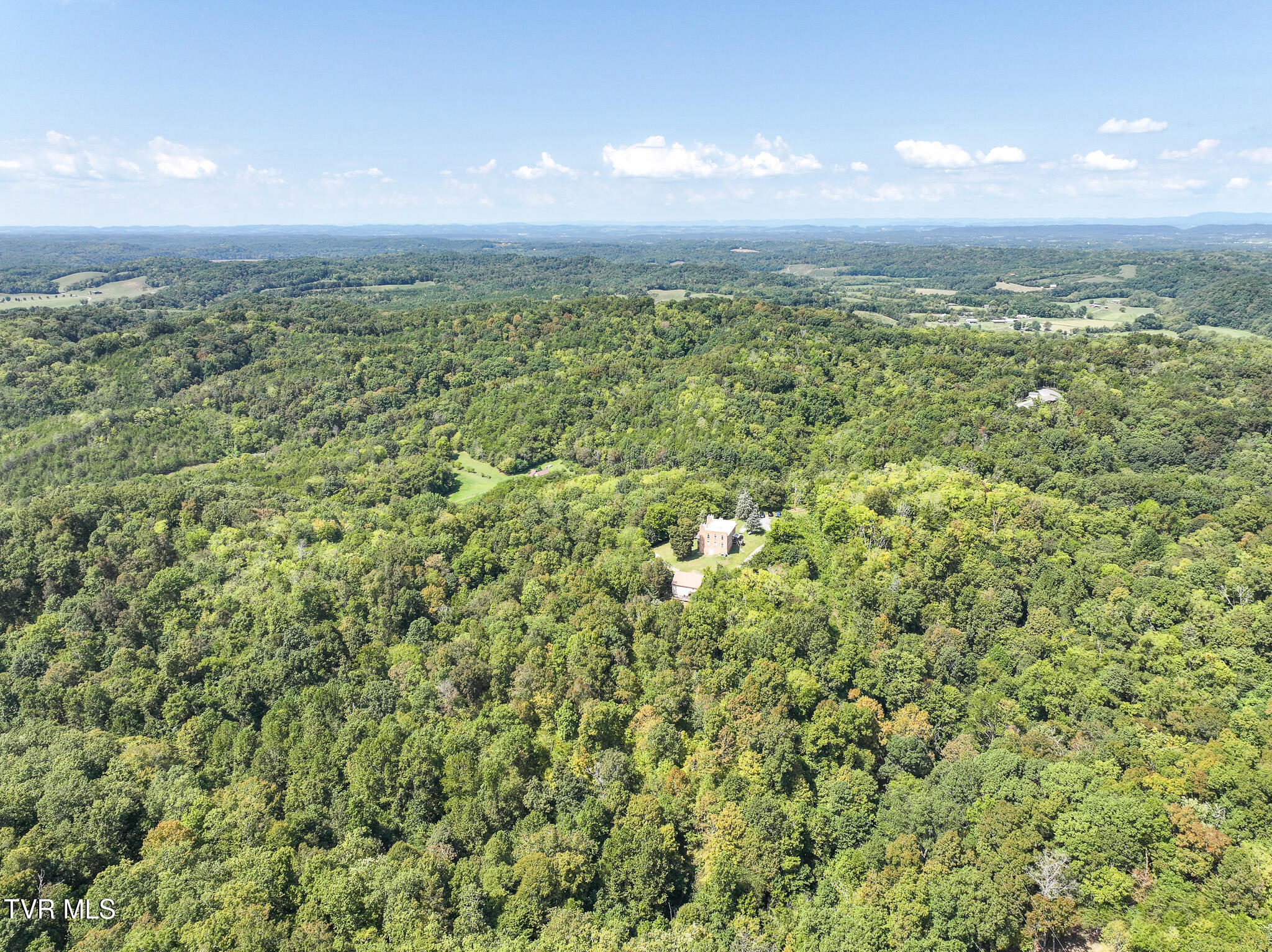 1005 Jackson Hollow Road Mosheim, TN 37818 - Photo 58 of 96 51