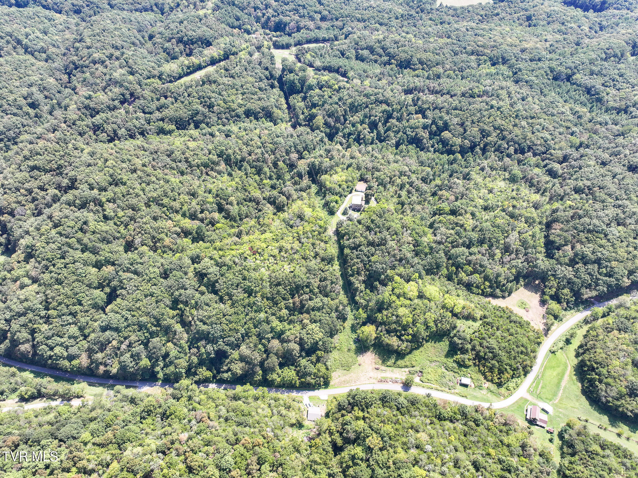 1005 Jackson Hollow Road Mosheim, TN 37818 - Photo 59 of 96 52