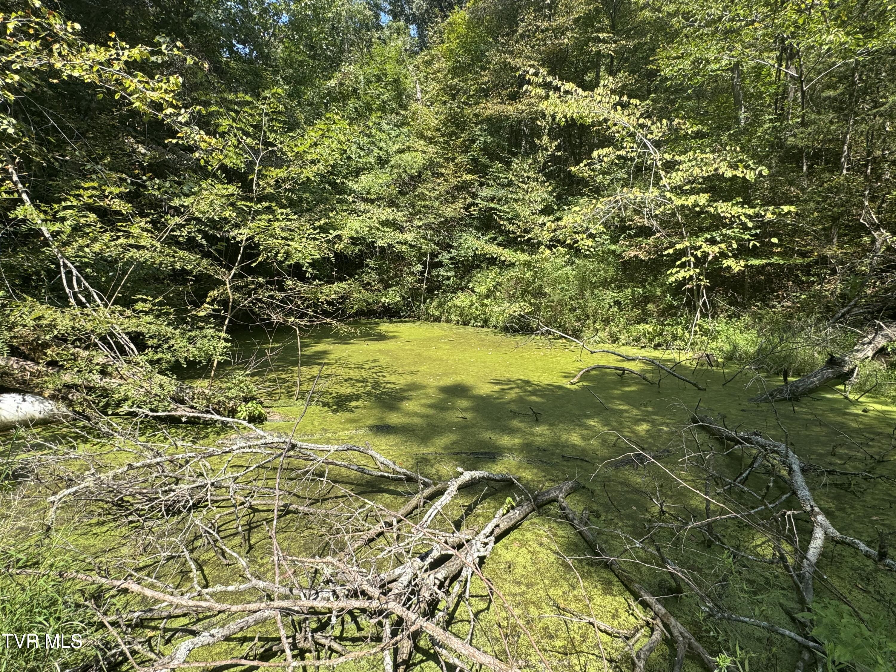 1005 Jackson Hollow Road Mosheim, TN 37818 - Photo 60 of 96 53