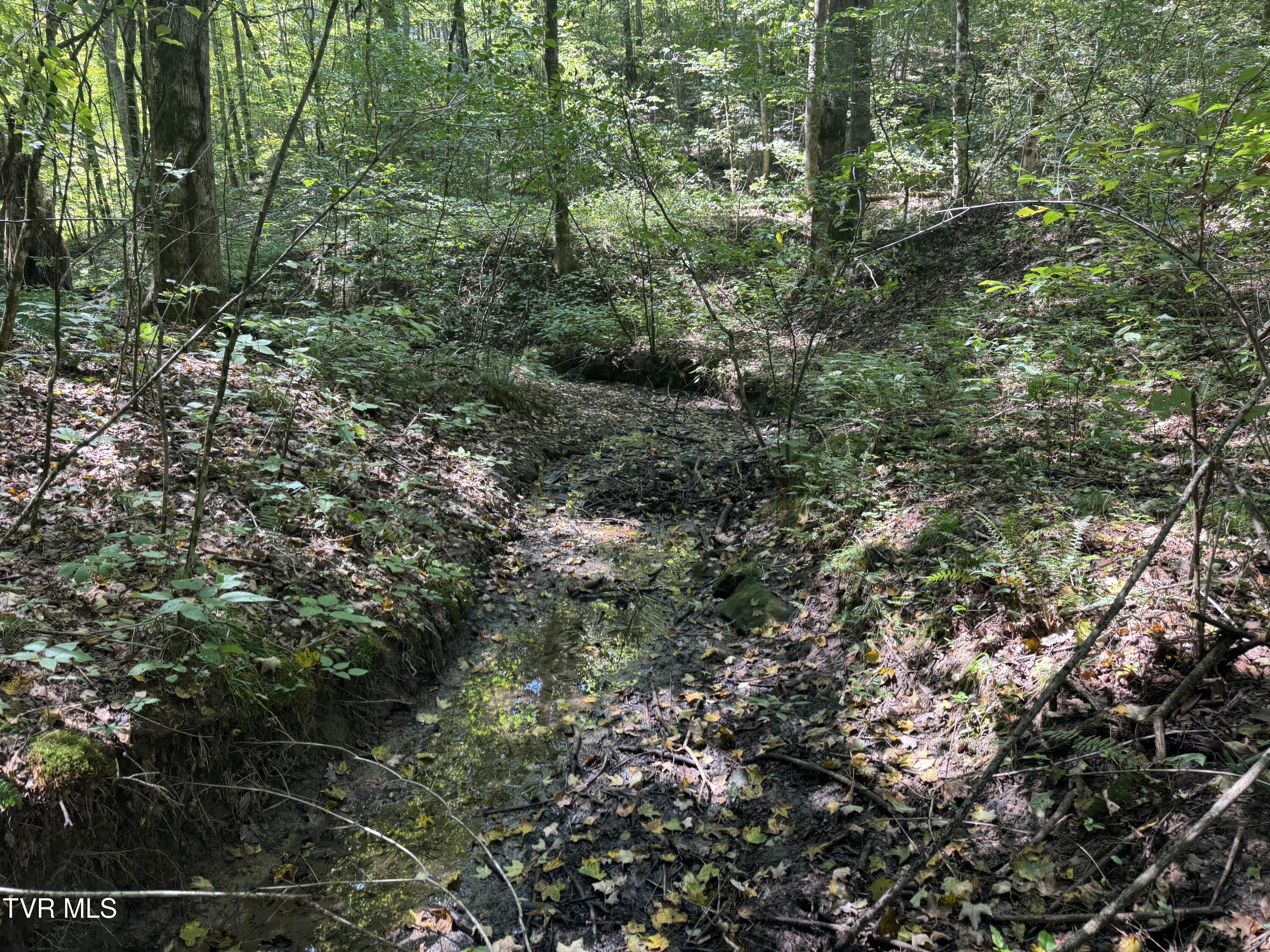 1005 Jackson Hollow Road Mosheim, TN 37818 - Photo 62 of 96 55