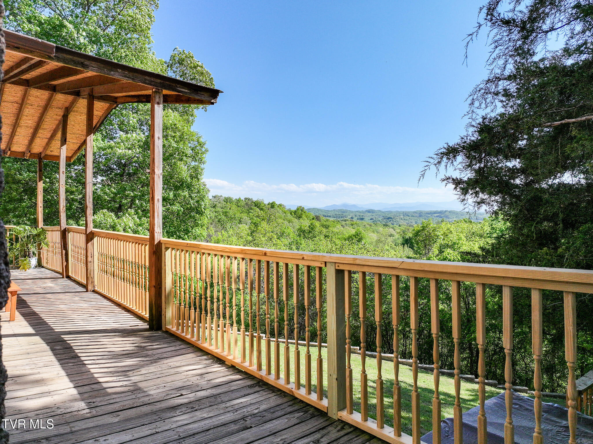 1005 Jackson Hollow Road Mosheim, TN 37818 - Photo 67 of 96 61