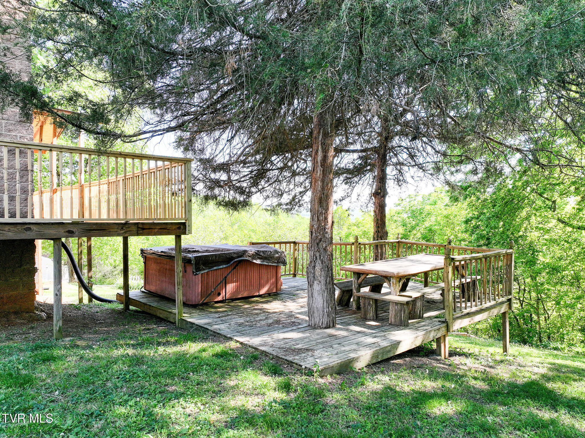 1005 Jackson Hollow Road Mosheim, TN 37818 - Photo 68 of 96 65