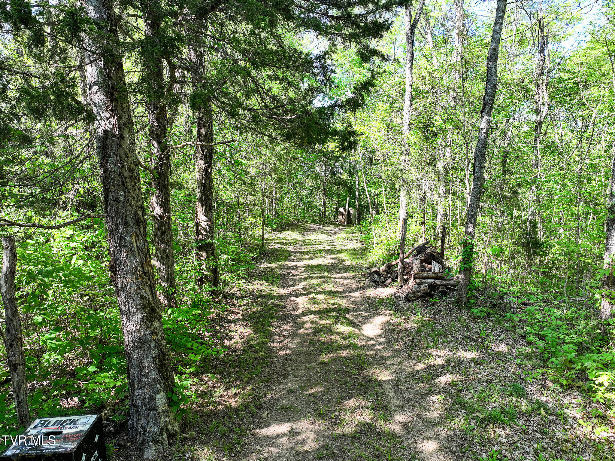 1005 Jackson Hollow Road Mosheim, TN 37818 - Photo 69 of 96 66