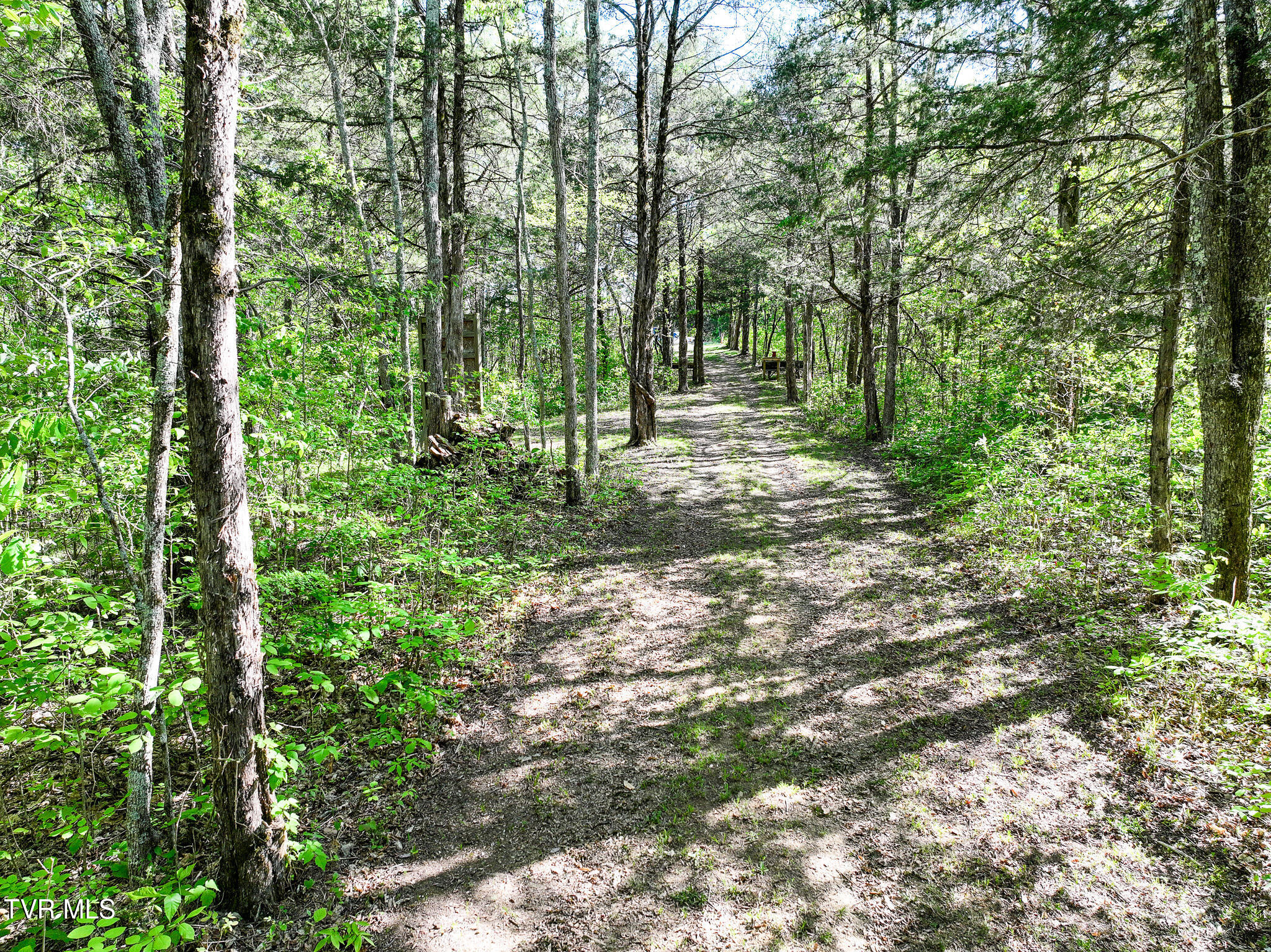 1005 Jackson Hollow Road Mosheim, TN 37818 - Photo 70 of 96 67