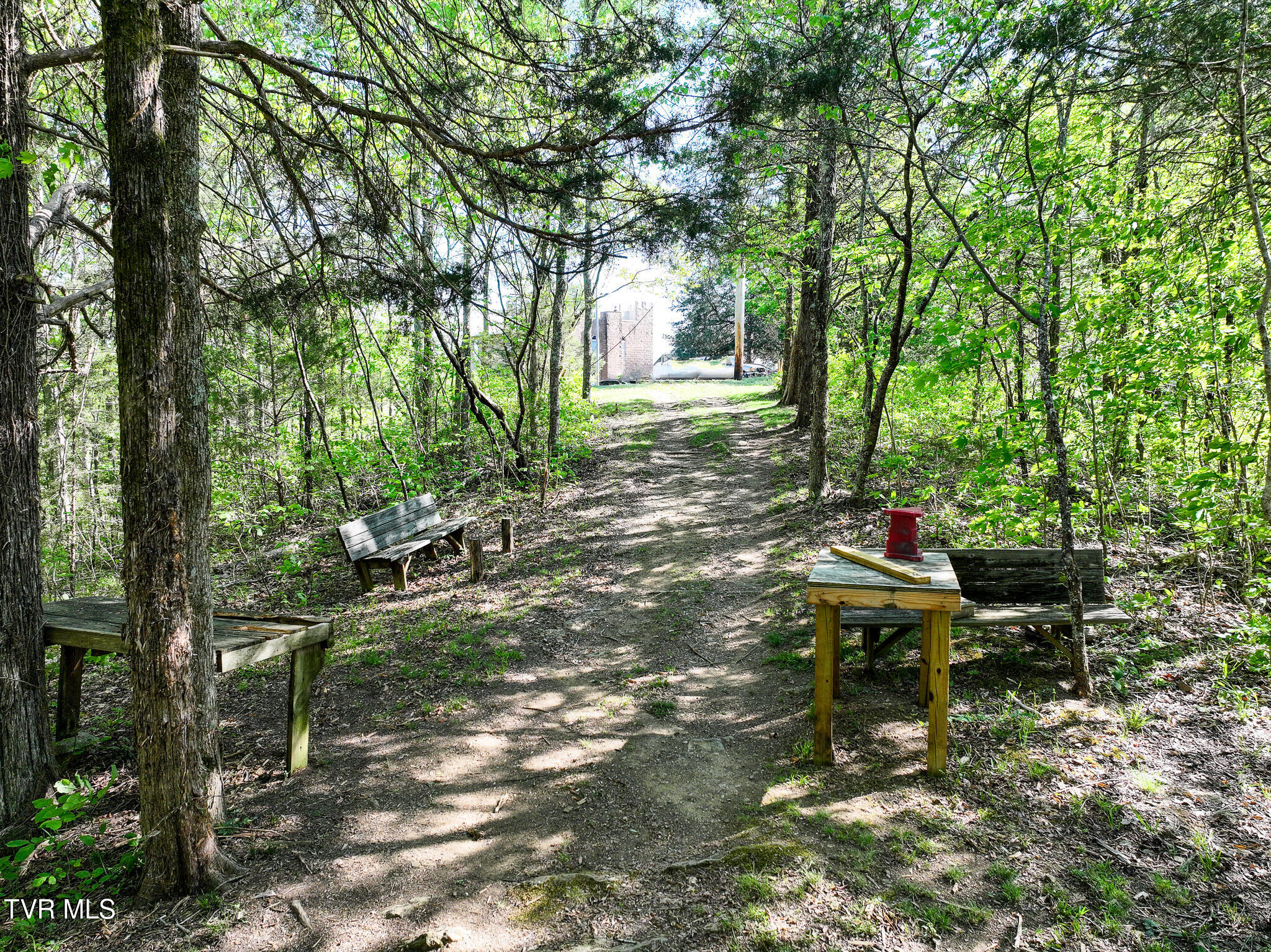 1005 Jackson Hollow Road Mosheim, TN 37818 - Photo 71 of 96 68