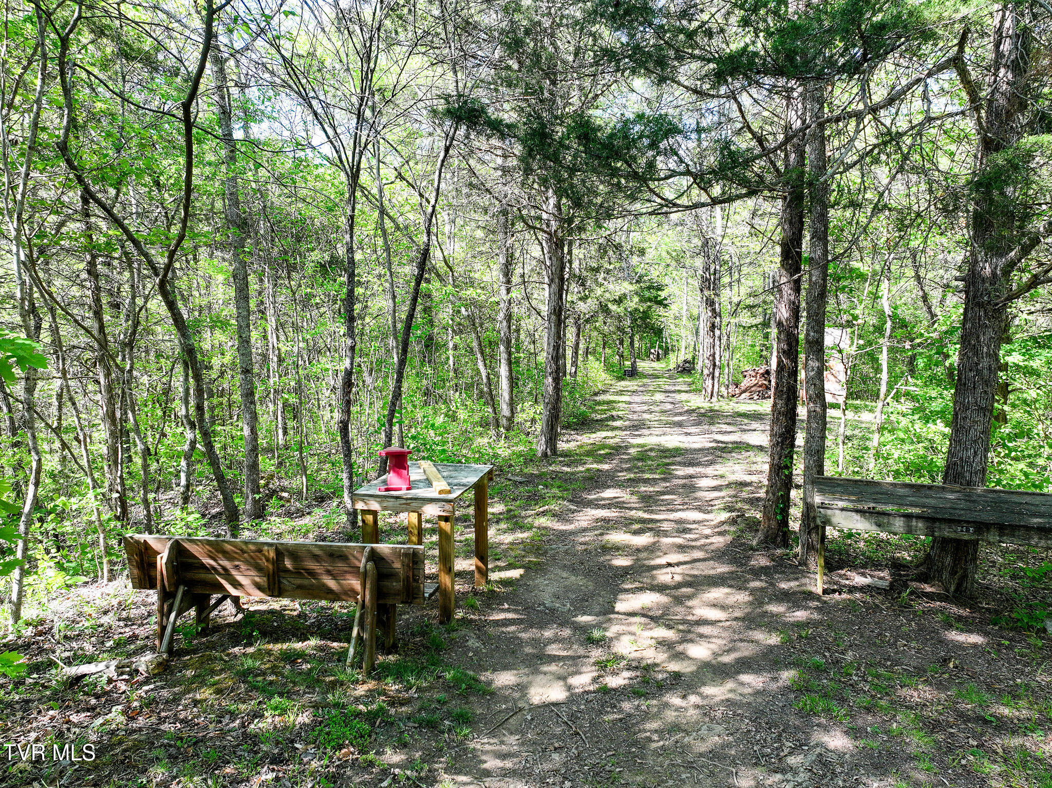 1005 Jackson Hollow Road Mosheim, TN 37818 - Photo 73 of 96 70