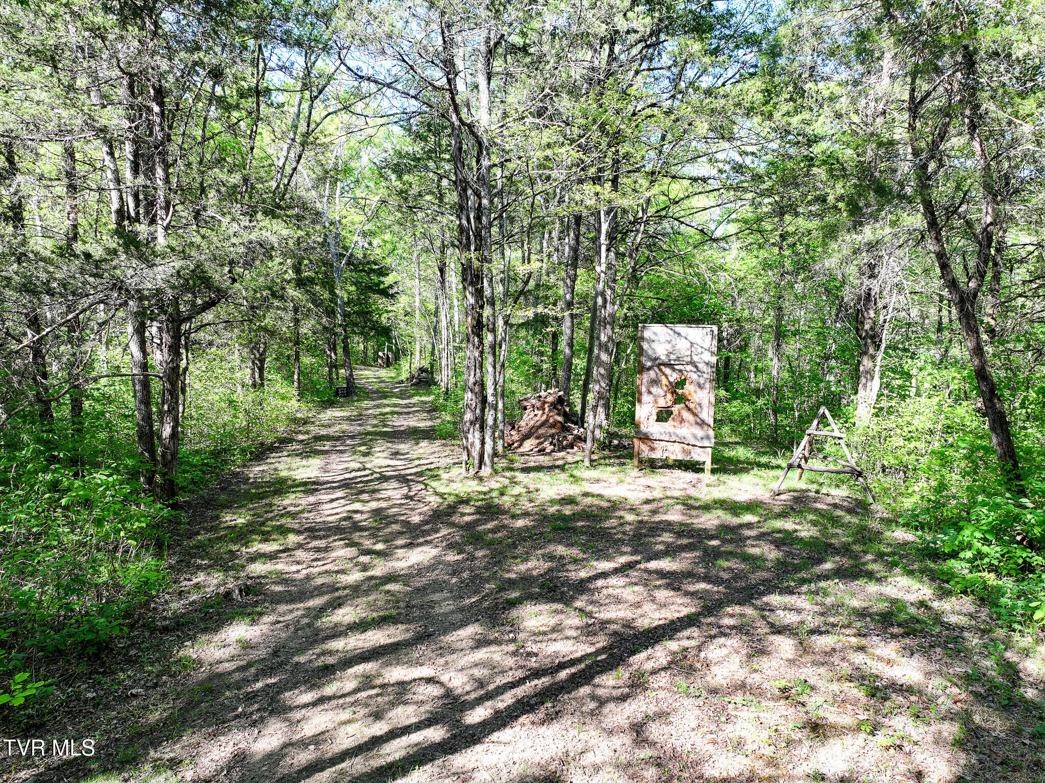 1005 Jackson Hollow Road Mosheim, TN 37818 - Photo 74 of 96 71