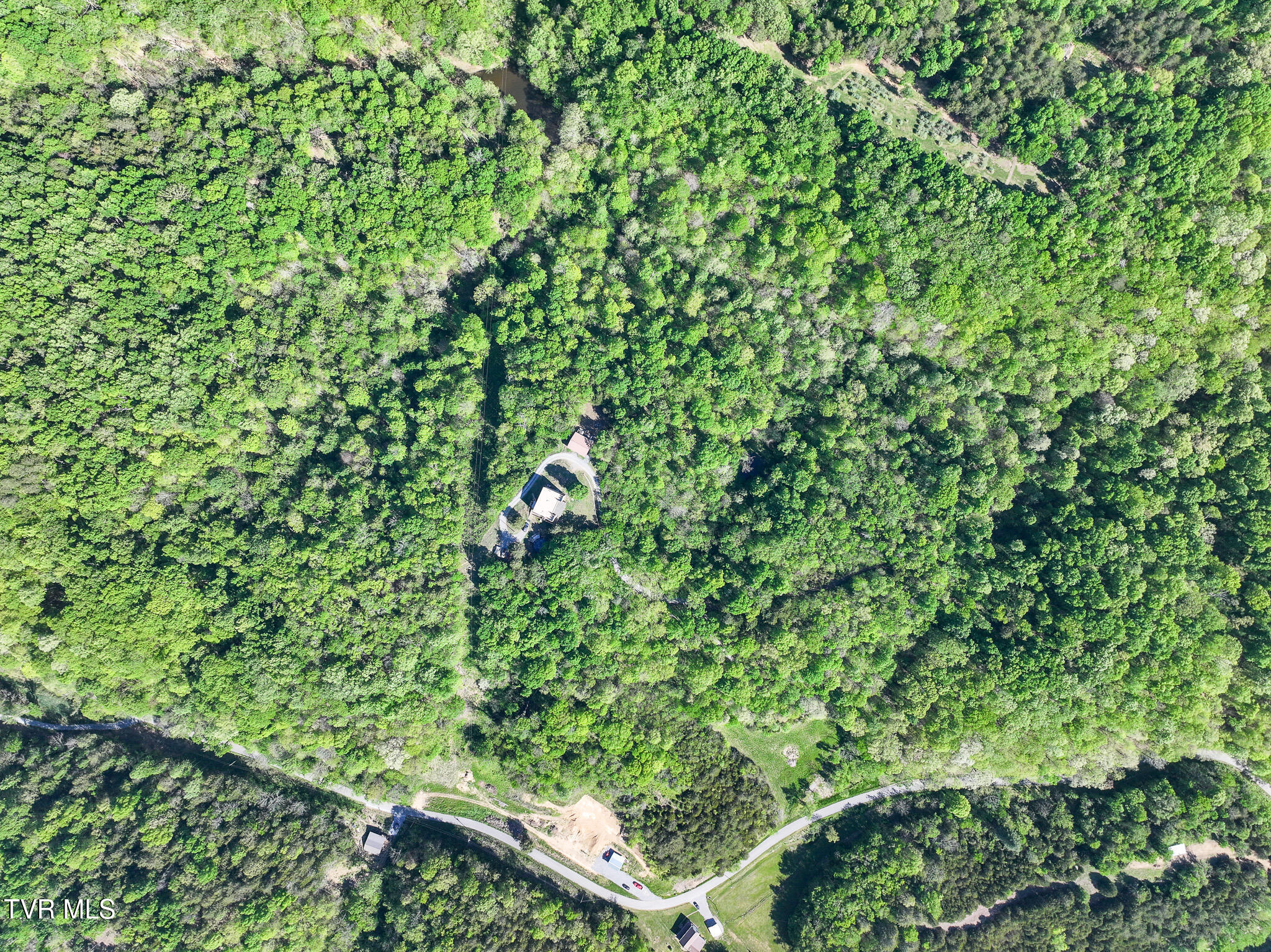 1005 Jackson Hollow Road Mosheim, TN 37818 - Photo 75 of 96 72