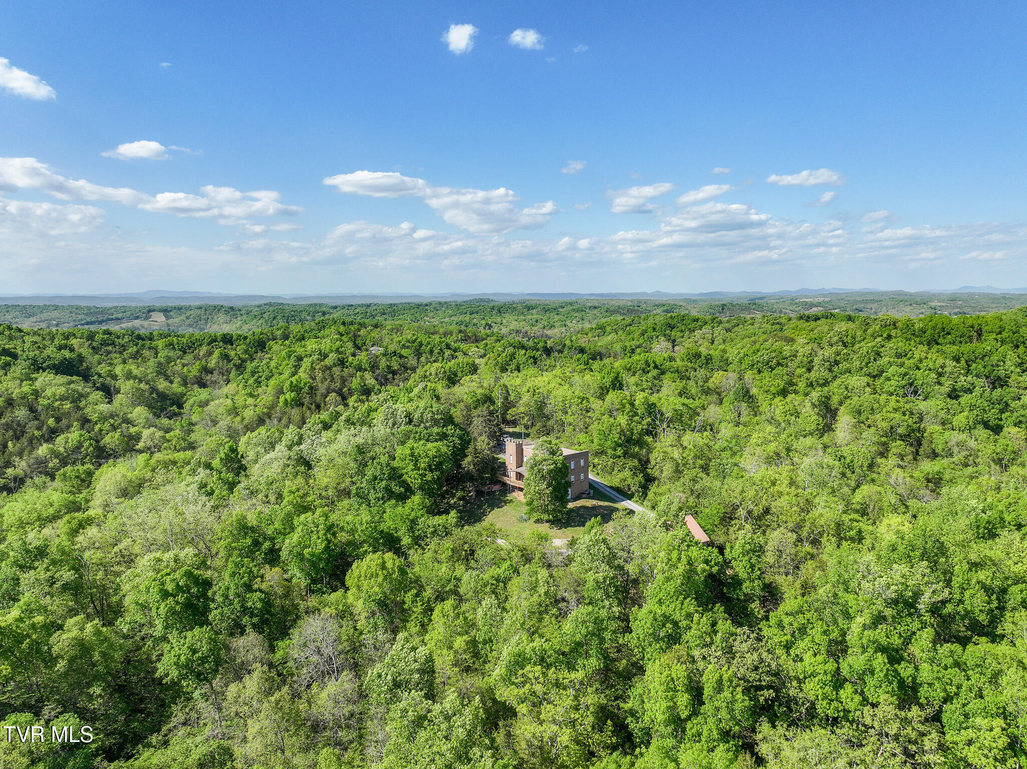 1005 Jackson Hollow Road Mosheim, TN 37818 - Photo 78 of 96 75