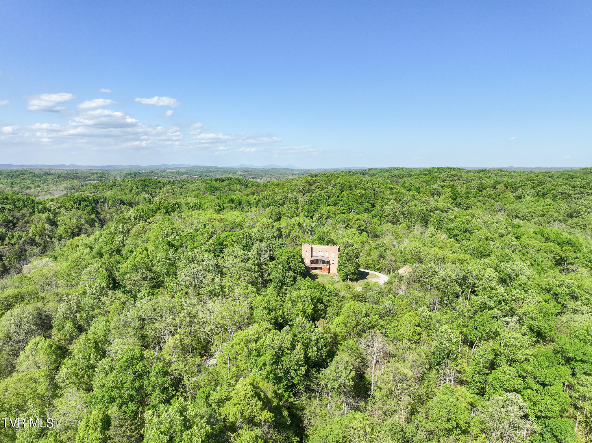 1005 Jackson Hollow Road Mosheim, TN 37818 - Photo 79 of 96 76