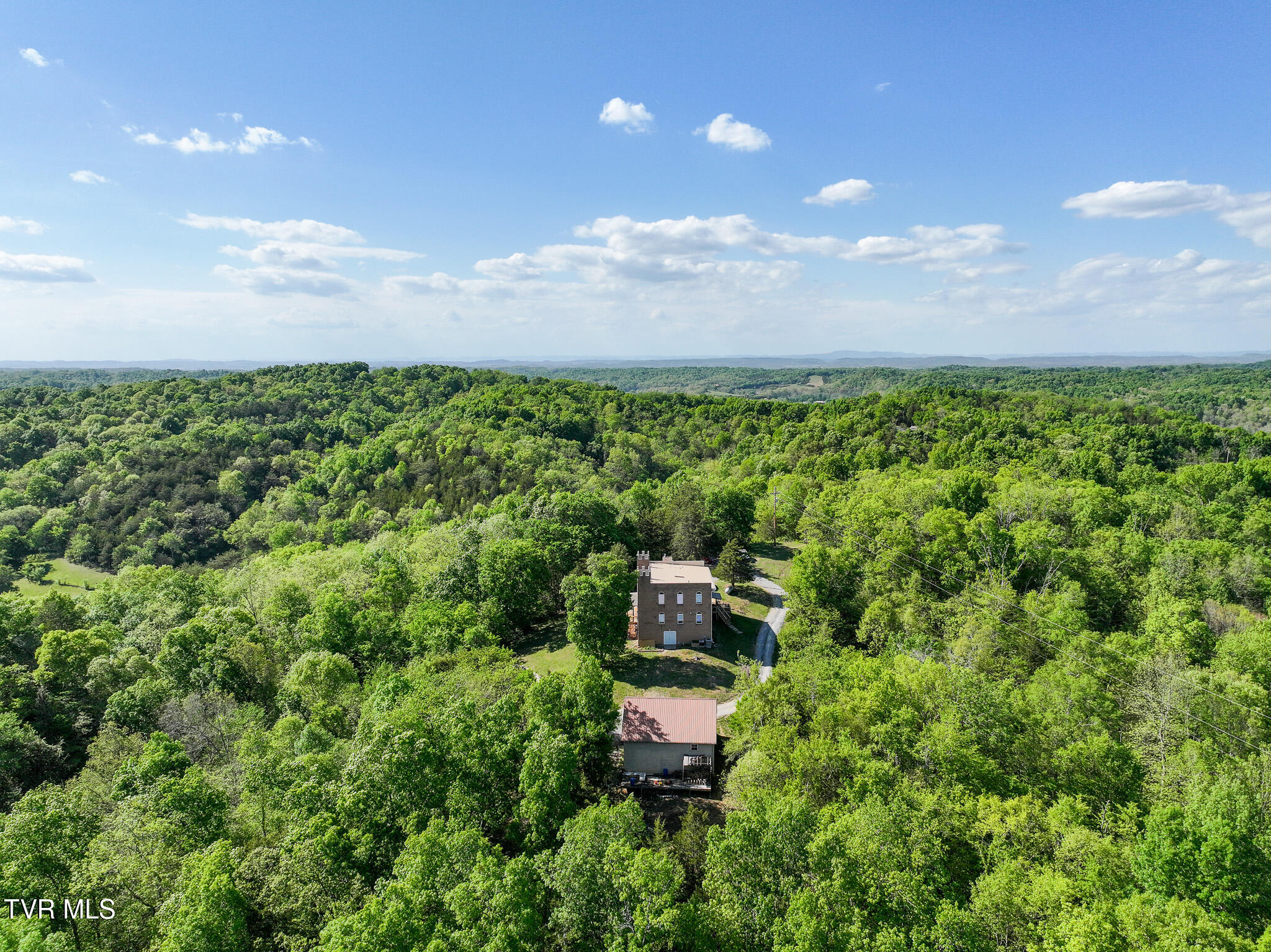 1005 Jackson Hollow Road Mosheim, TN 37818 - Photo 81 of 96 78