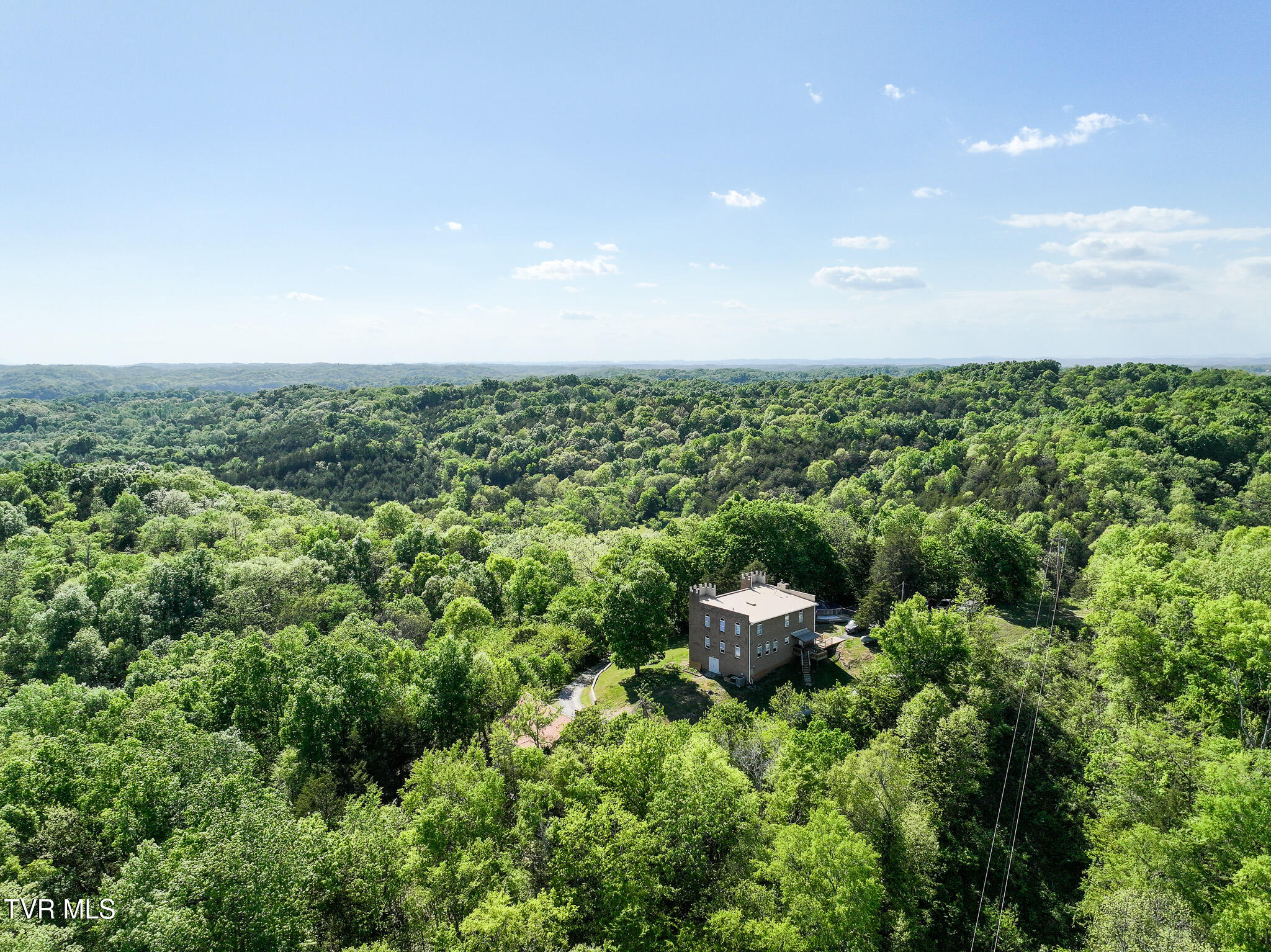 1005 Jackson Hollow Road Mosheim, TN 37818 - Photo 82 of 96 79