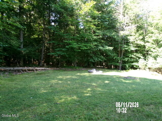 205 Ridge Road Northville, NY 12134 - Photo 4 of 7 753_9039