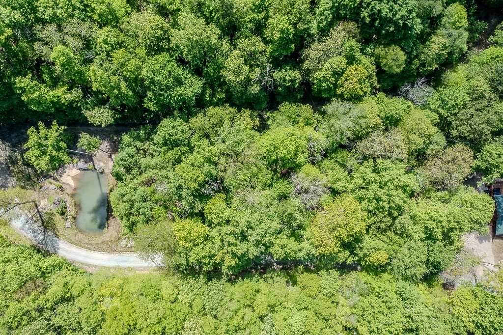 Buckeye Ridge Road Beech Mountain, NC 28604 - Photo 14 of 14