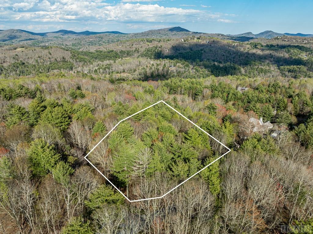 Lot 1 Center Ridge Road Sylva, NC 28779 - Photo 10 of 17 Gallery Image 10