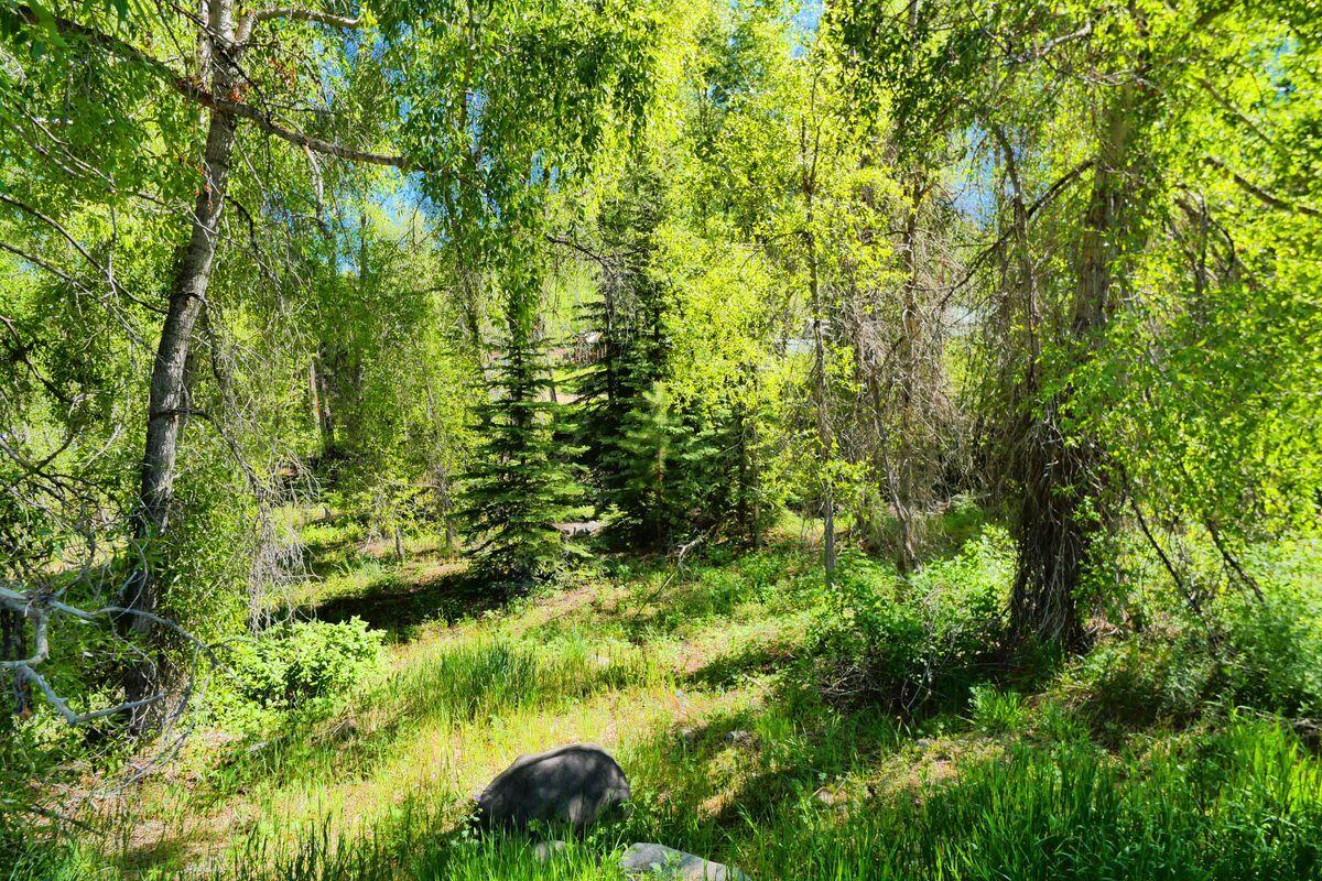 27 North Commercial Street Rico, CO 81332 - Photo 9 of 17 a view of a garden