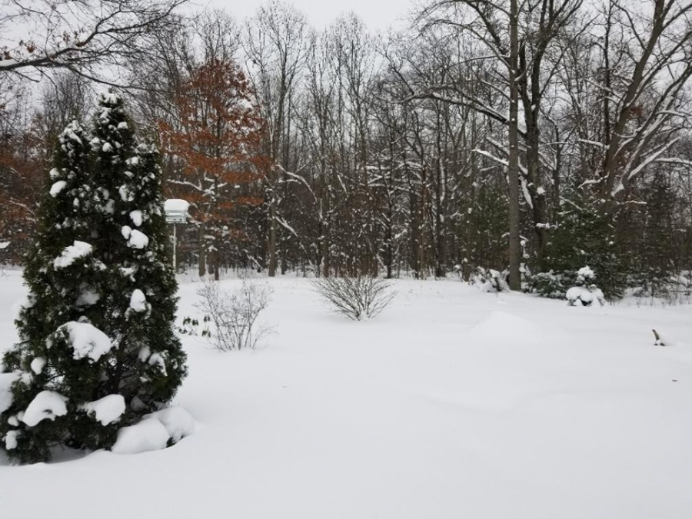 766 South Brooks Road South Muskegon, MI 49442 - Photo 2 of 10 20190128_112721_resized