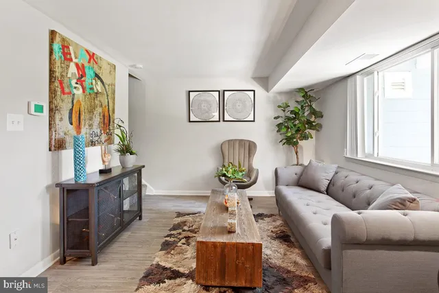 a living room with furniture and a potted plant