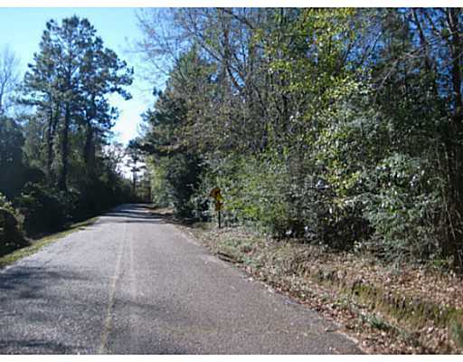 Clarke Road Saucier, MS 39574 - Photo 2 of 4 Additional Photo