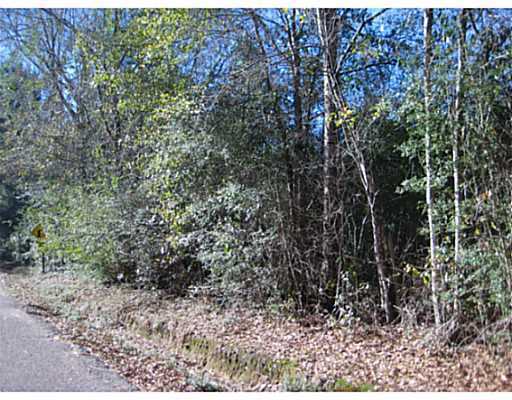 Clarke Road Saucier, MS 39574 - Photo 3 of 4 Additional Photo