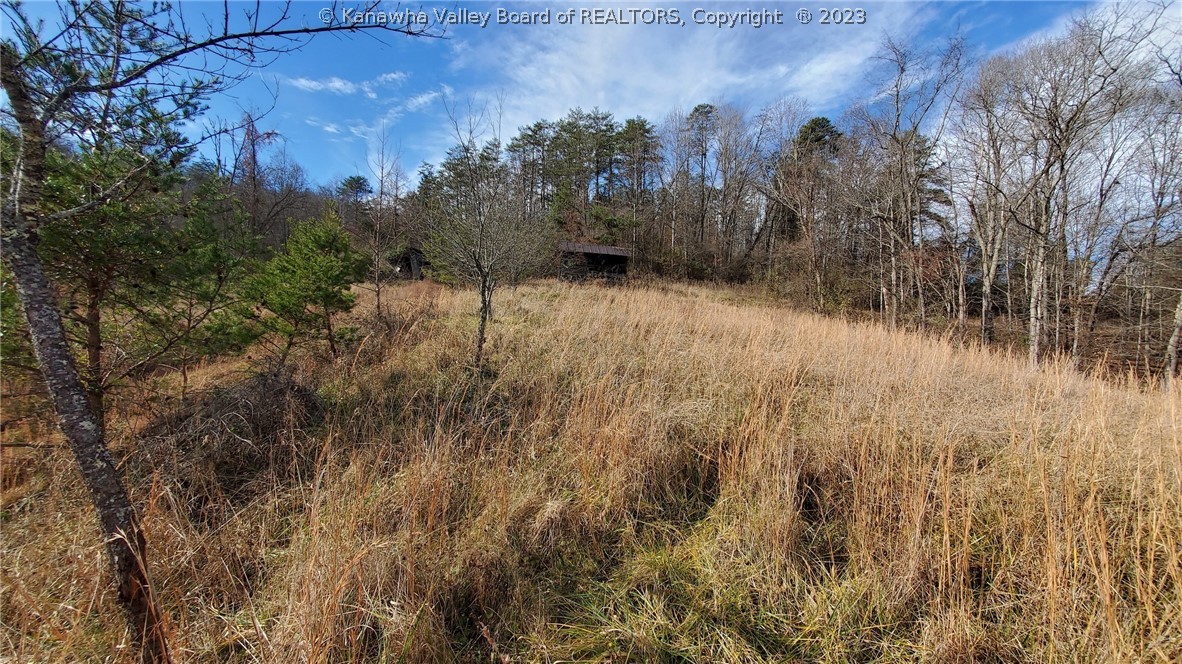459 B Angel Fork Road St. Albans, WV 25177 - Photo 14 of 15 Gallery Image 14
