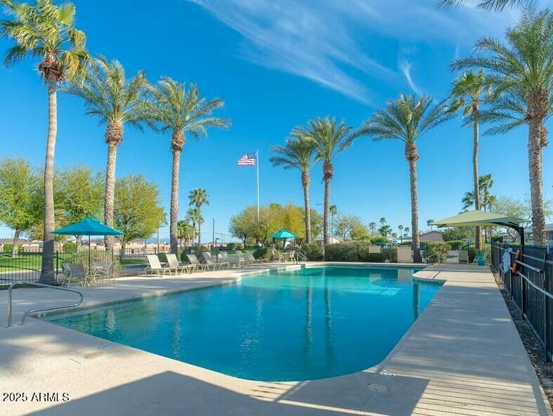 2000 South Apache Road, Unit 383 Buckeye, AZ 85326 - Photo 36 of 41 Community Pool