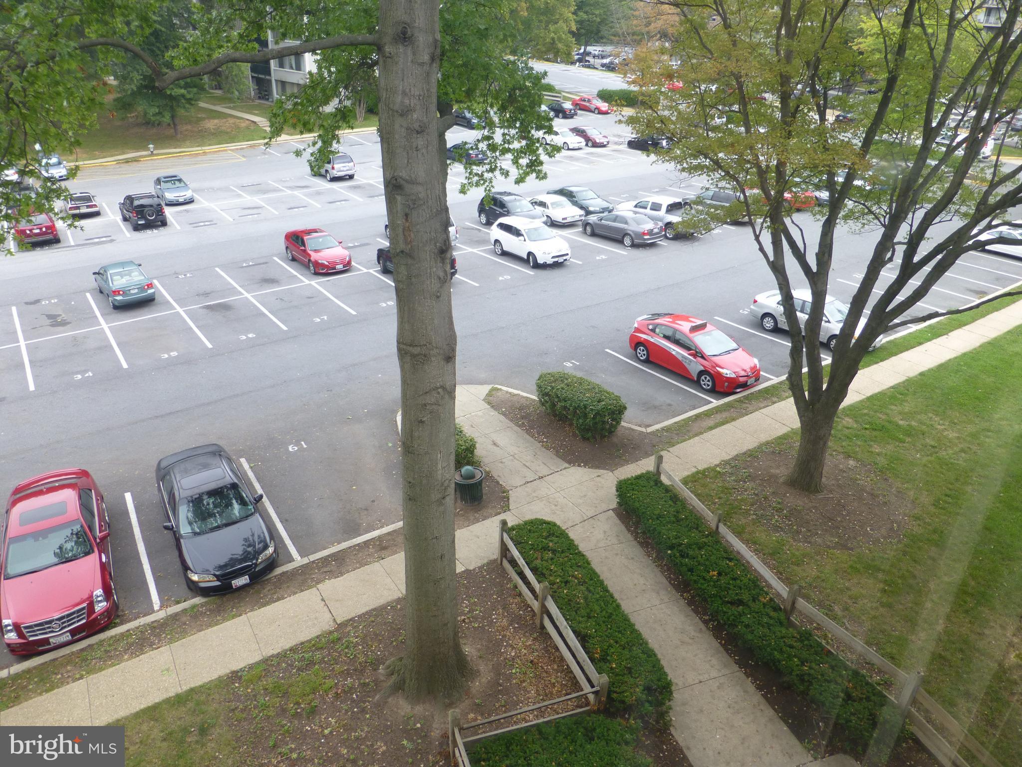 1800 Metzerott Road, Unit 408 Adelphi, MD 20783 - Photo 15 of 21 Gallery Image 15