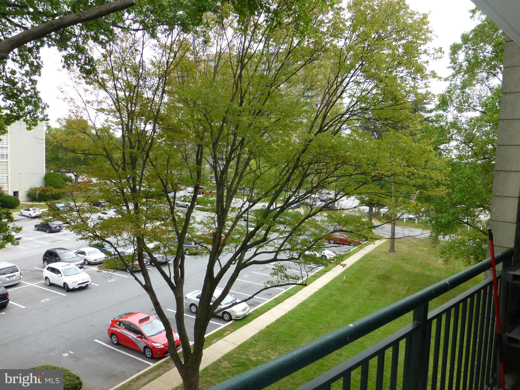 1800 Metzerott Road, Unit 408 Adelphi, MD 20783 - Photo 18 of 21 Gallery Image 18