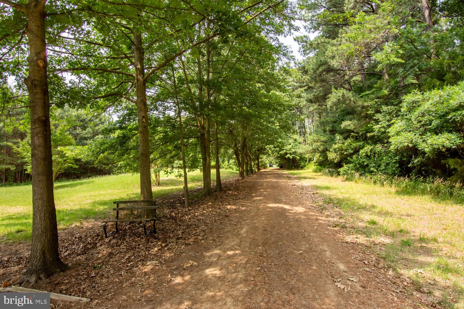 6123 Twin Point Cove Road Cambridge, MD 21613 - Photo 44 of 46 Gallery Image 44