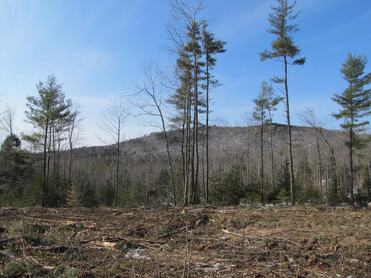 1 Hayes Road Norway, ME 04268 - Photo 10 of 40 IMG_0197