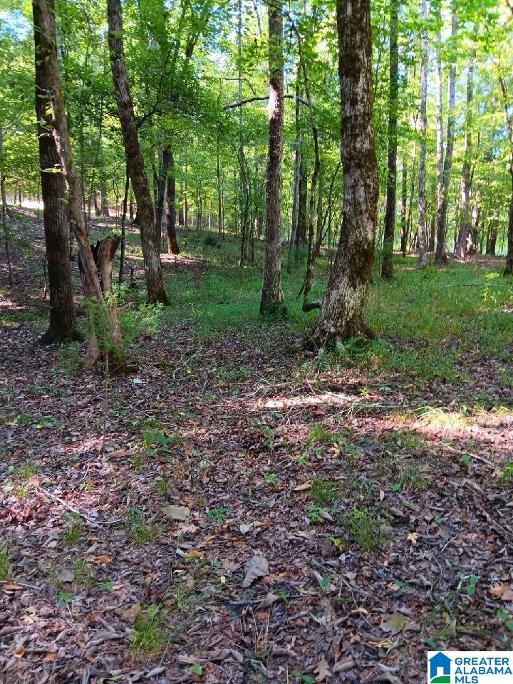 410 Rocky Branch Road Centreville, AL 35042 - Photo 3 of 6