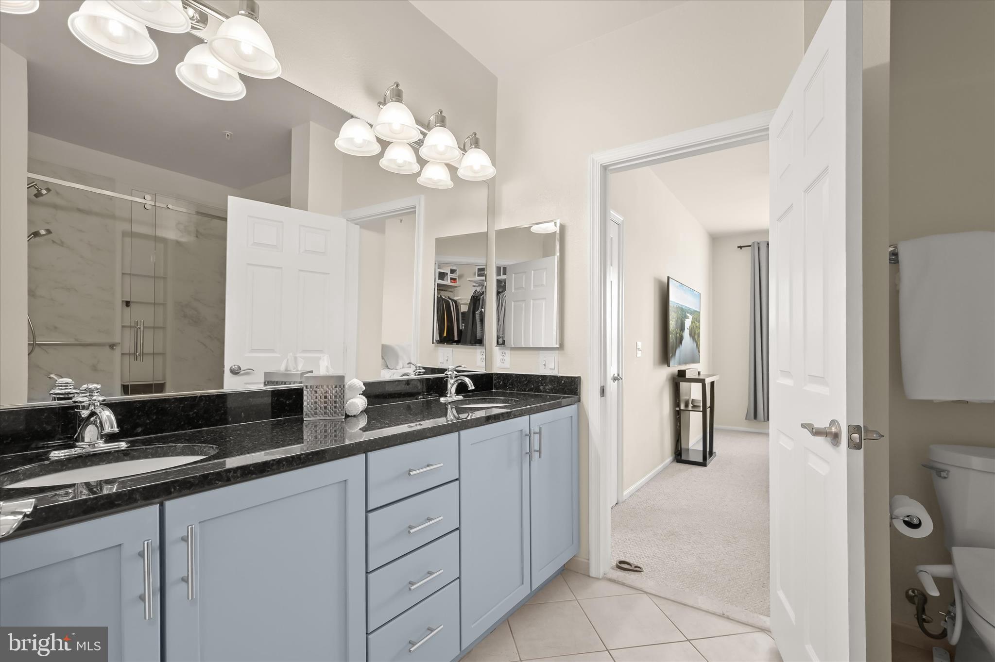 11800 Old Georgetown Road, Unit 1541 North Bethesda, MD 20852 - Photo 23 of 48 Old Georgetown Rd033